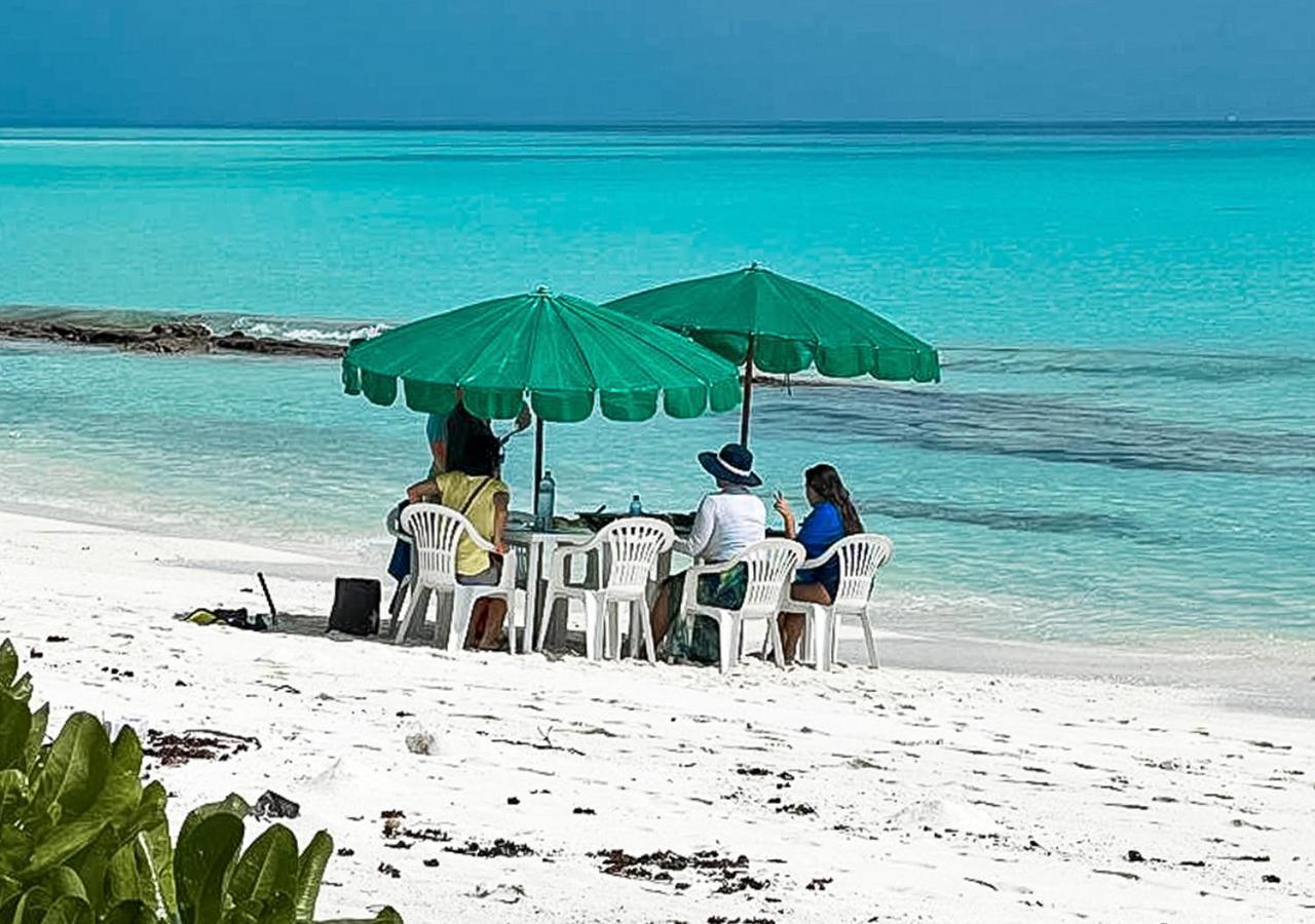 Hotel Tropical Tree Fehendhoo Esterno foto