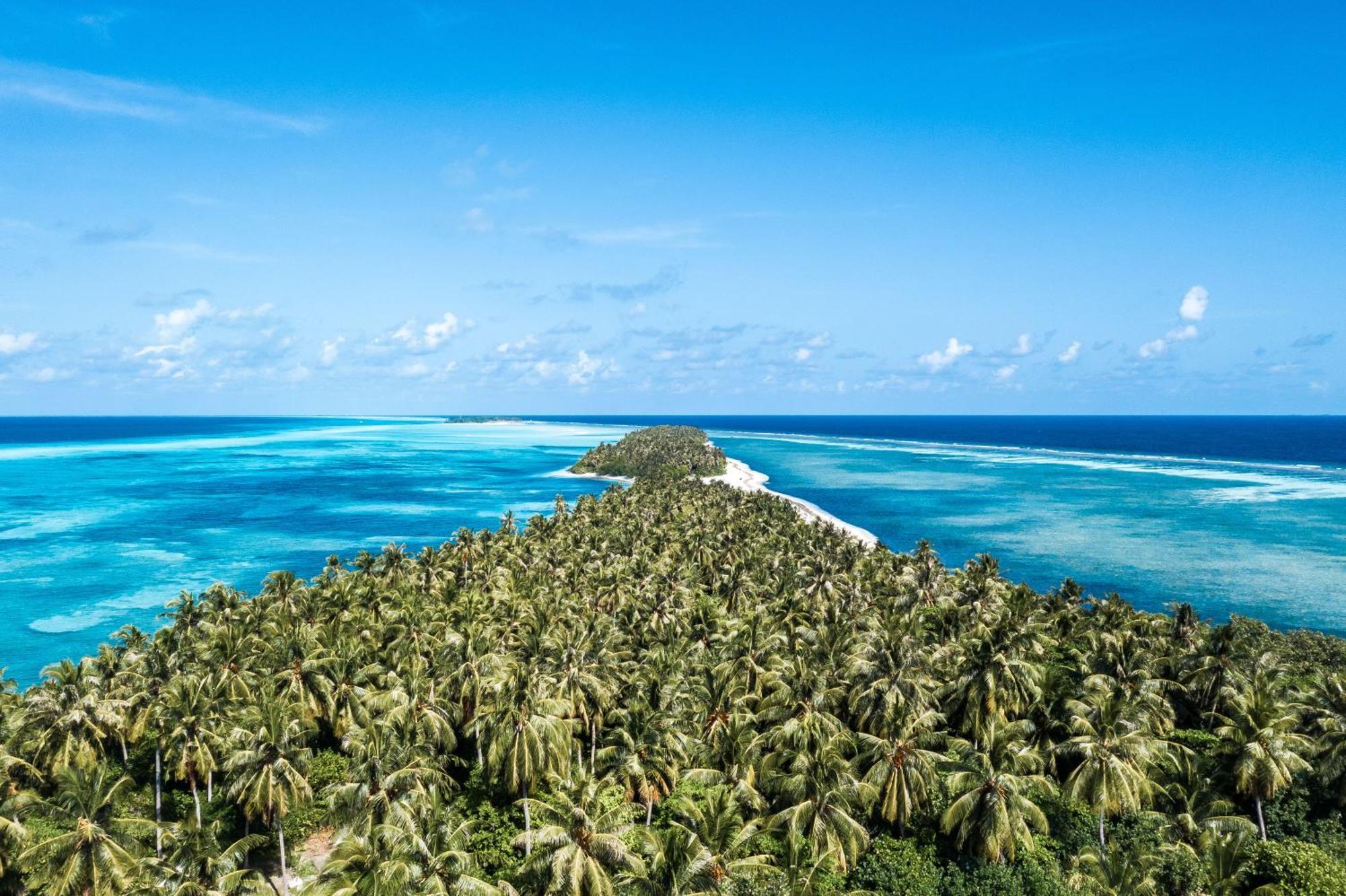 Hotel Tropical Tree Fehendhoo Esterno foto