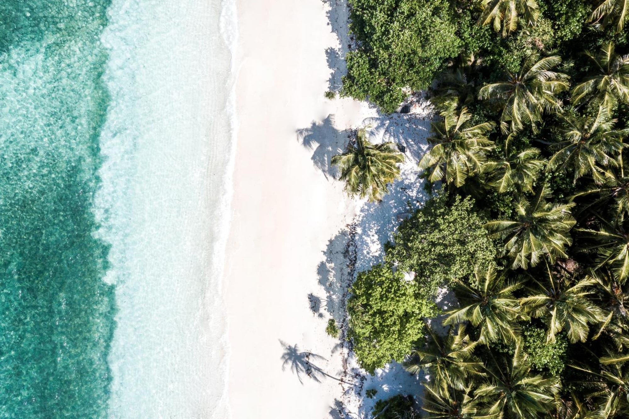 Hotel Tropical Tree Fehendhoo Esterno foto