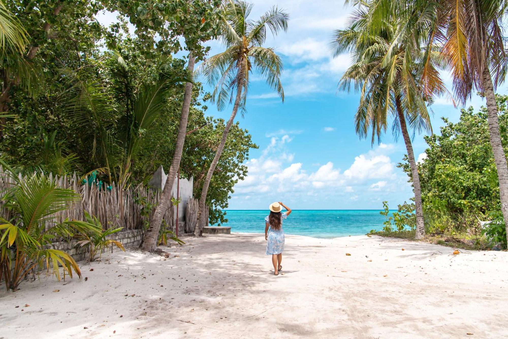 Hotel Tropical Tree Fehendhoo Esterno foto