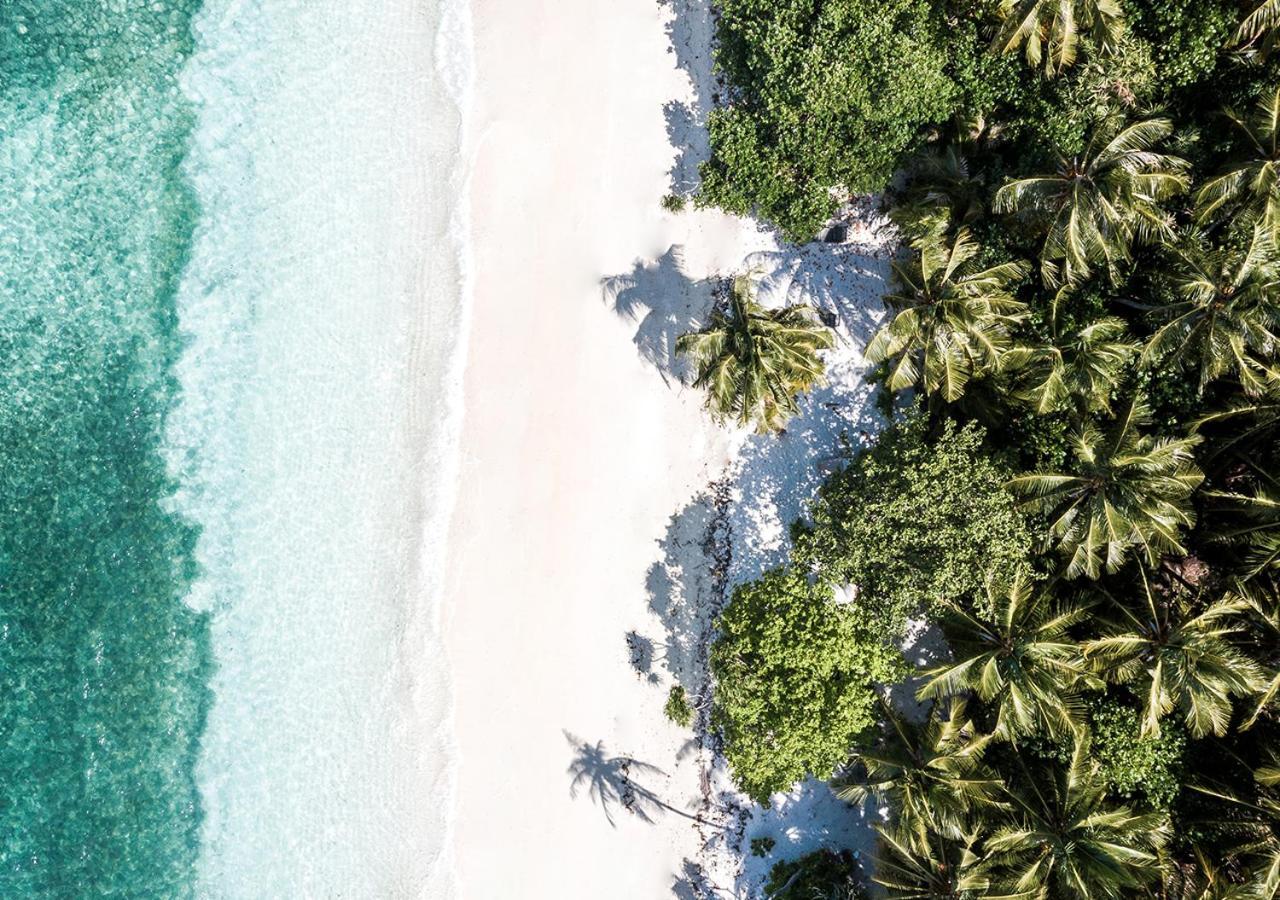 Hotel Tropical Tree Fehendhoo Esterno foto