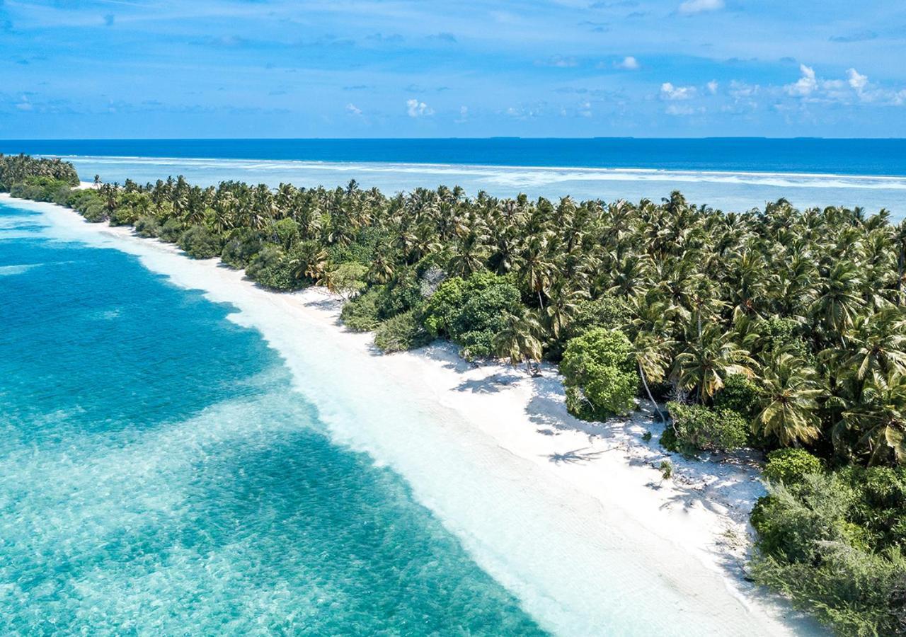 Hotel Tropical Tree Fehendhoo Esterno foto